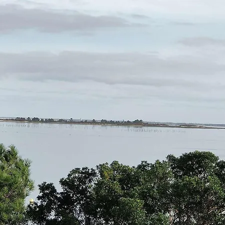 12 Pers Avec Piscine Chauffee Et Vue Exceptionnelle, Premiere Ligne Bassin D'arcachon - Fr-1-736-32 * Lège-Cap-Ferret