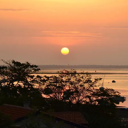 Villa Grande Avec Jacuzzi A La Pointe Aux Chevaux - Fr-1-736-23 Lège-Cap-Ferret